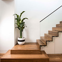 STair, cutstring, spotted gum