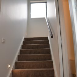 Stair, Carpet, standard